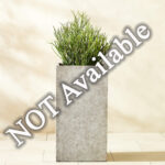 One Concrete Planter