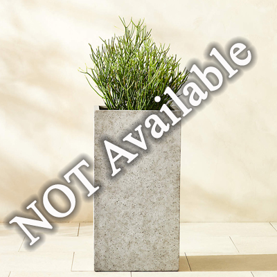 One Concrete Planter